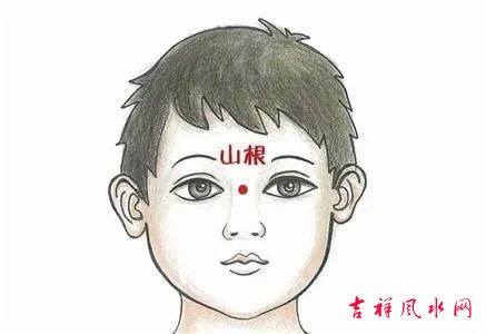 面相的山根的信息解读