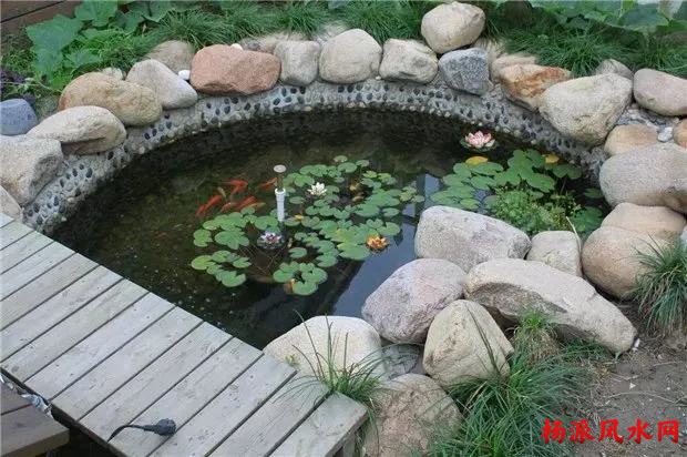 2025年辛巳月壬水日主运势指南5月5日—6月4日