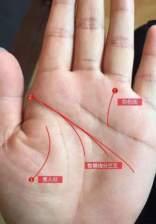 大拇指指纹手相图解图片