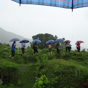 八卦影响状况